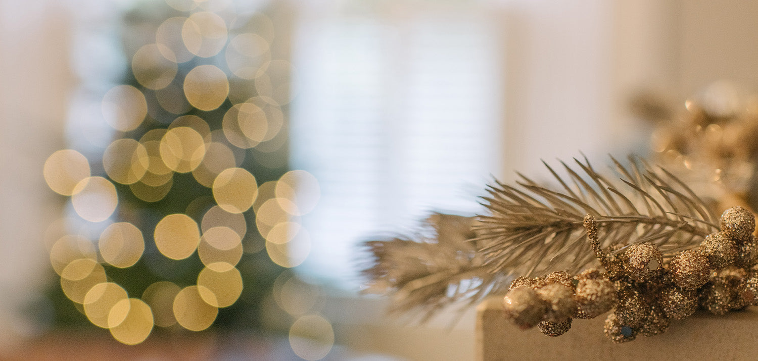 How Long Does a Christmas Tree Last? Christmas Trees Direct