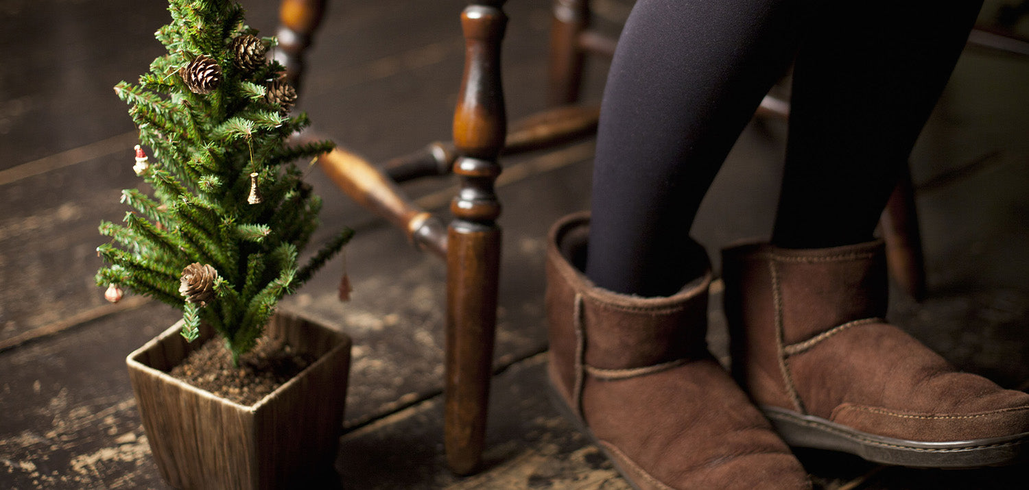 Outdoor potted Christmas trees Christmas Trees Direct