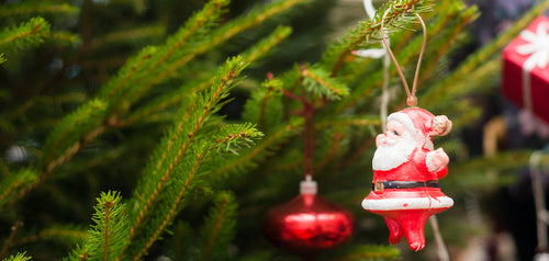 A guide to the different types of real Christmas trees
