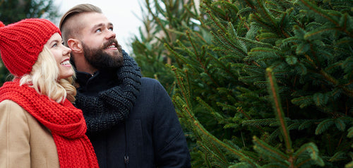 Couple with a christmas tree