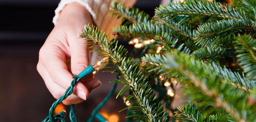 hand touching a christmas light