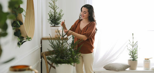 How to fit a Christmas tree in a small room