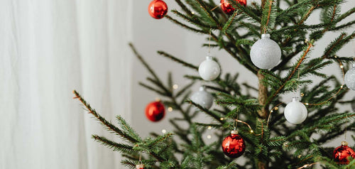Types Of Office Christmas Trees For The Holiday Season