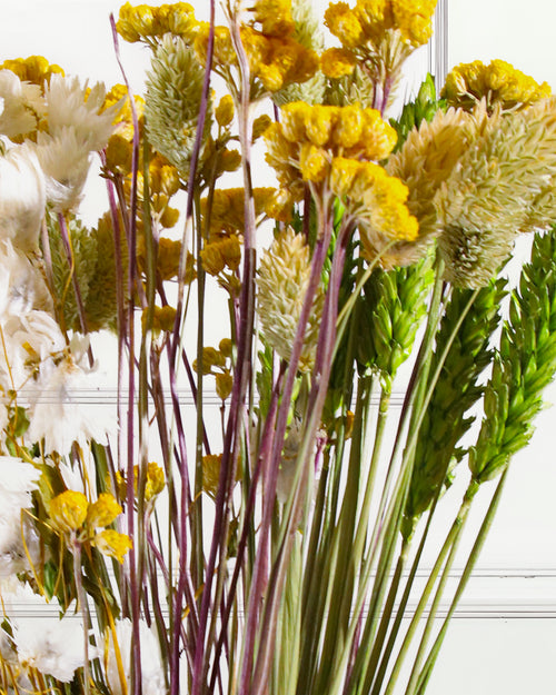 Dried Flower Bouquet - Smart Bridget