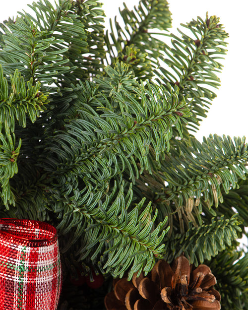 Noble Christmas Wreath - Tartan