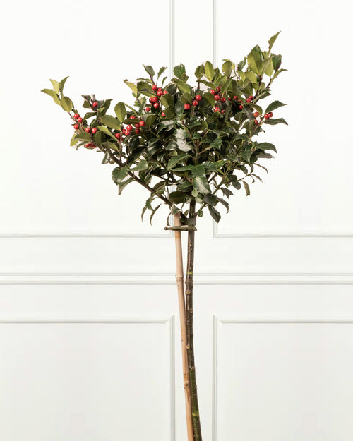 Holly Berry Patio Tree with Christmas Gift Wrap