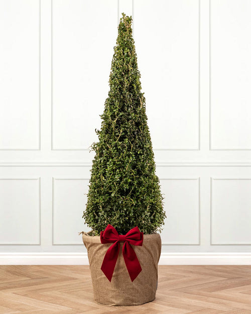 Box Pyramid Topiary Tree with Christmas Gift Wrap