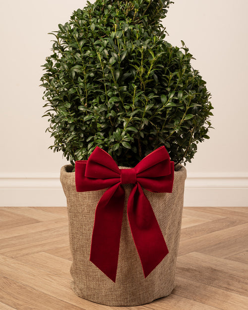 Box Spiral Topiary Tree with Christmas Gift Wrap