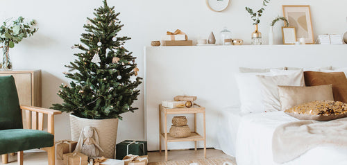 The best Christmas trees for small spaces