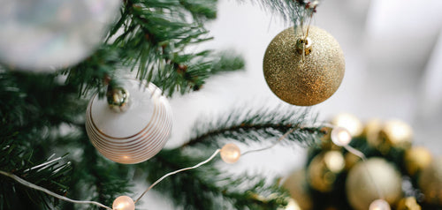 How to prep your freshly cut Christmas tree