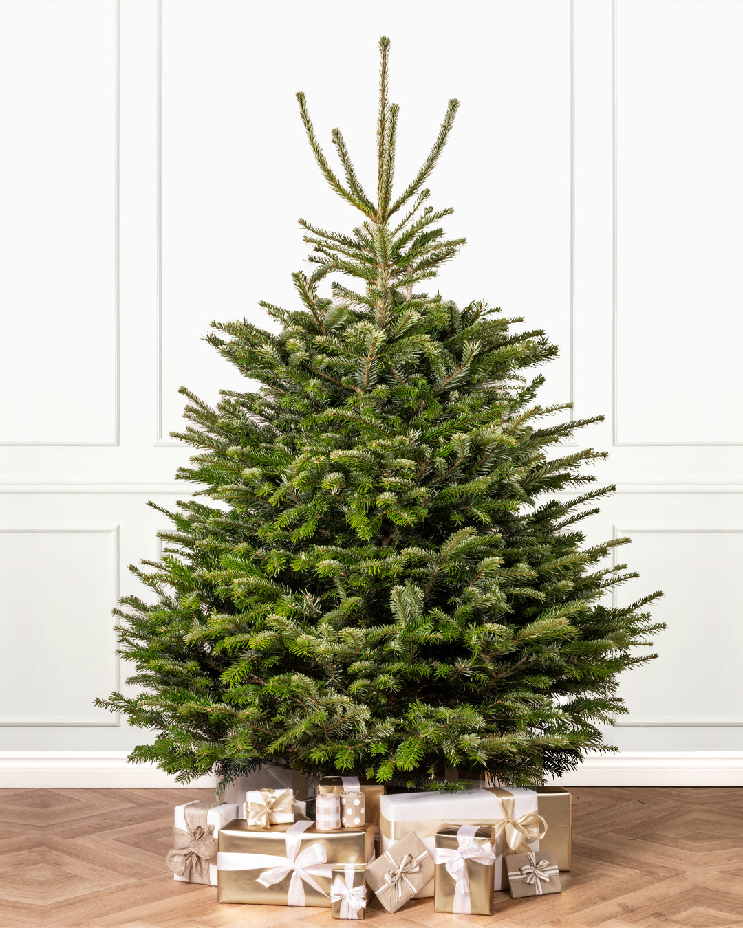 Fresh Cut Christmas Trees