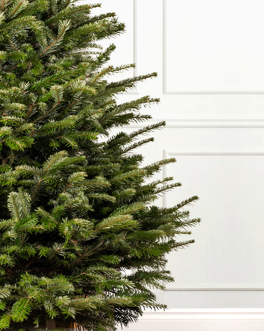 Christmas Trees