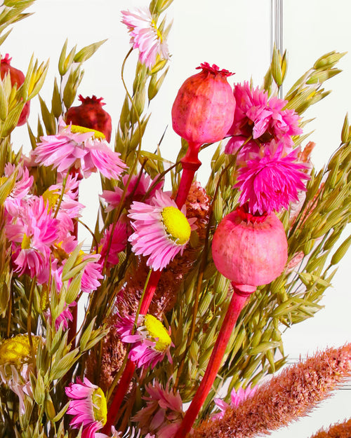 Dried Flower Bouquet - Tropic