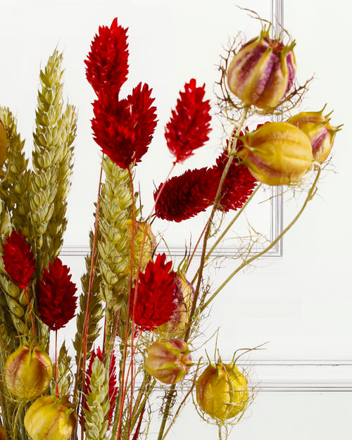 Dried Flower Bouquet - Mixed Trio Red and Natural