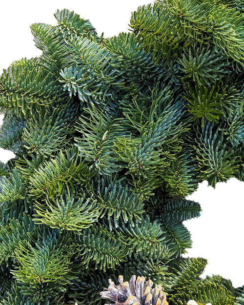Touch of Frost Christmas Wreath - Luxury Natural