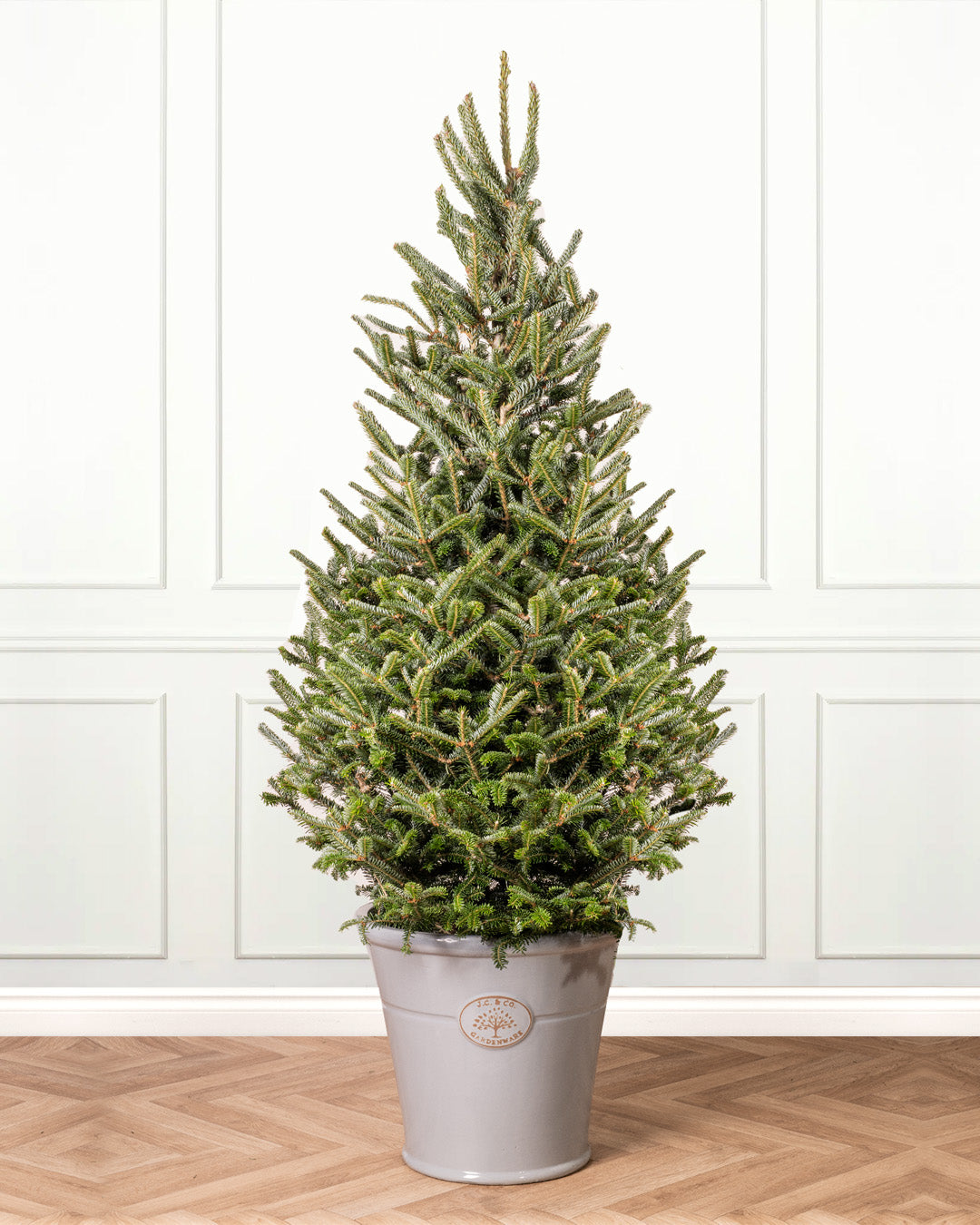 Christmas trees for clearance sale online