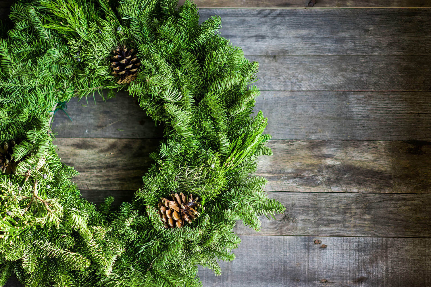 Real Christmas Trees Online Christmas Trees Direct