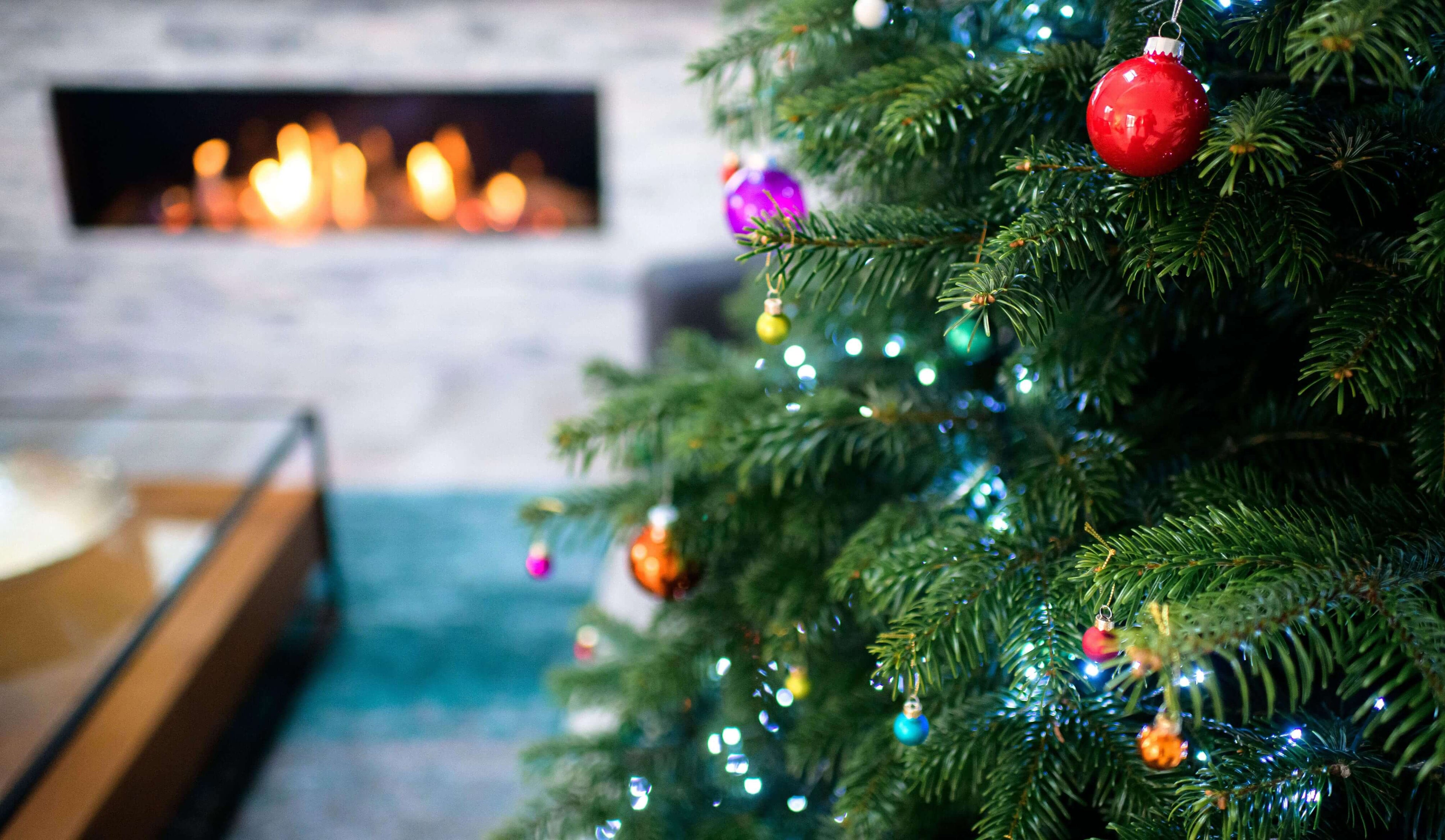 Real Christmas Trees Online Christmas Trees Direct