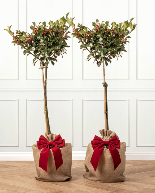 Holly Berry Patio Tree with Christmas Gift Wrap