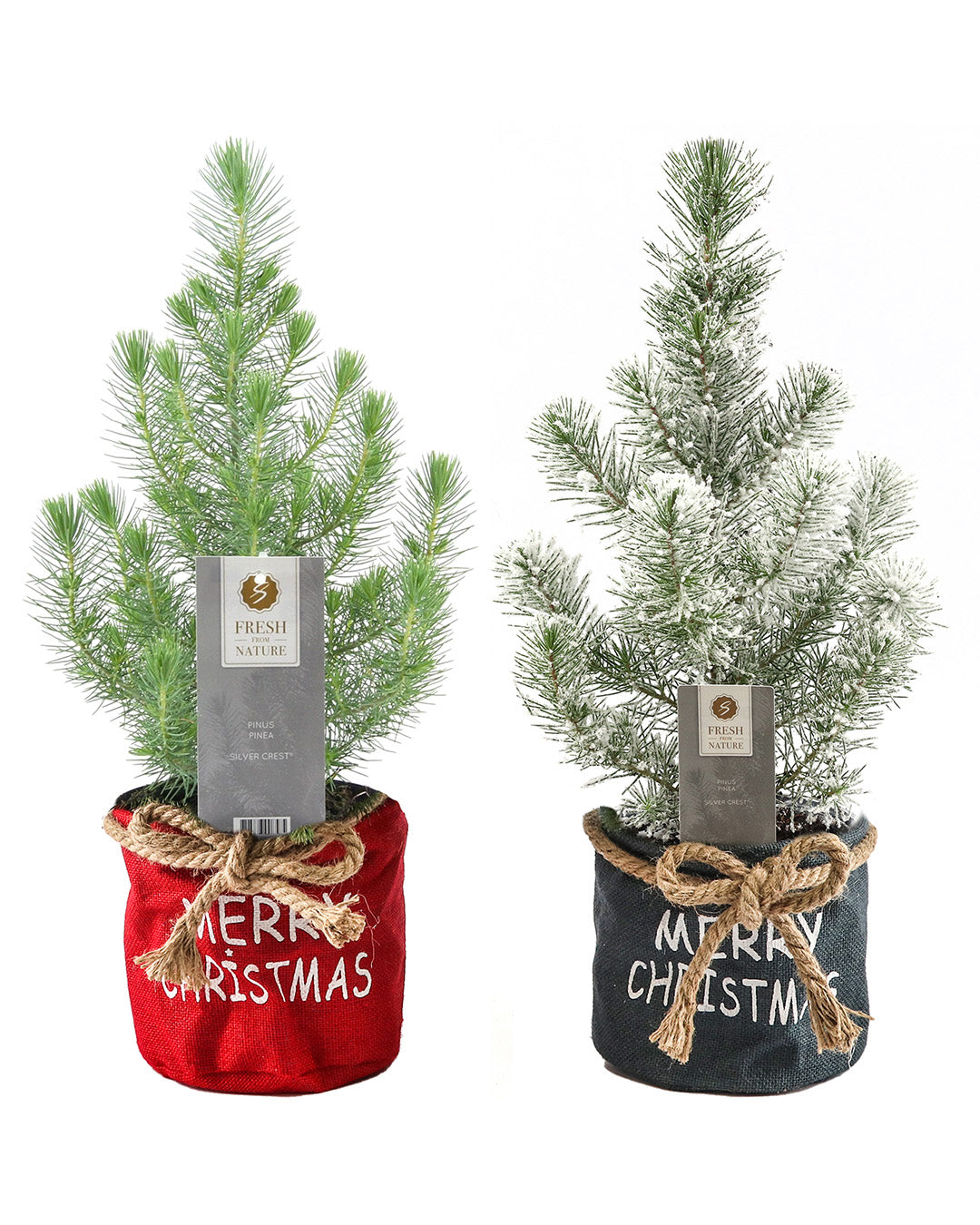 Update more than 111 christmas tree bag target latest esthdonghoadian