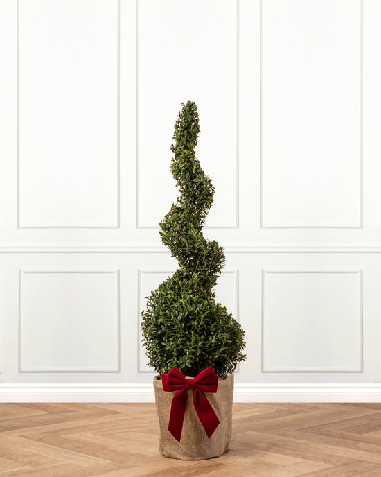 Box Spiral Topiary Tree with Christmas Gift Wrap | Free Delivery UK ...