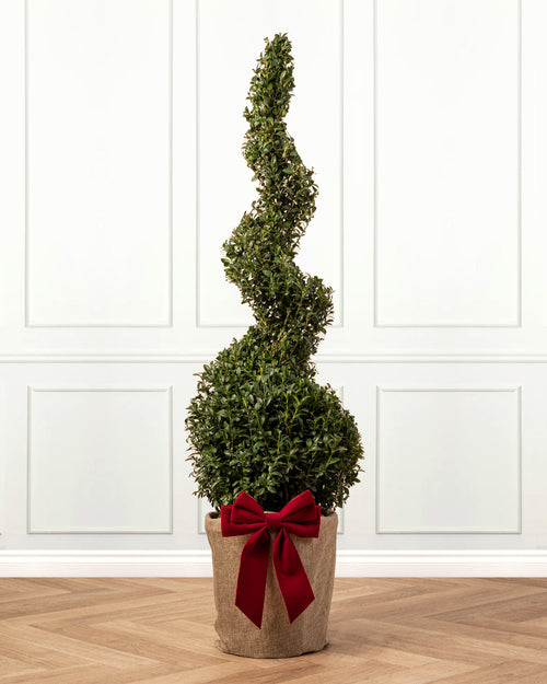 Box Spiral Topiary Tree with Christmas Gift Wrap